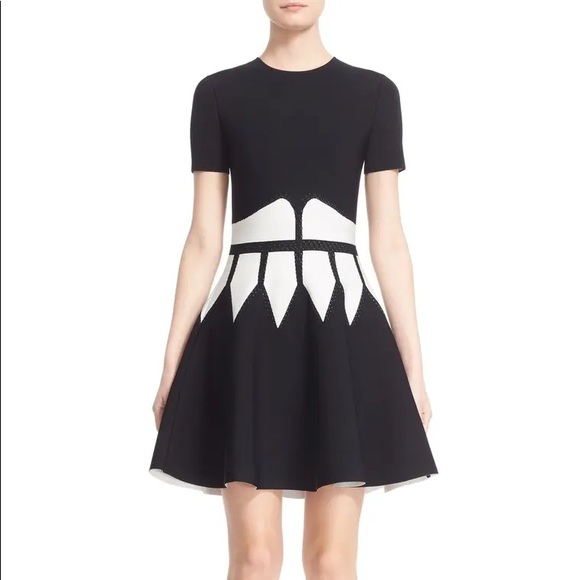 Alexander McQueen Dresses & Skirts - ALEXANDER MACQUEEN ntarsia Knit Fit & Flare Dress